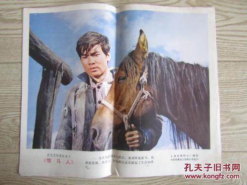 台湾驾驶证是什么意思